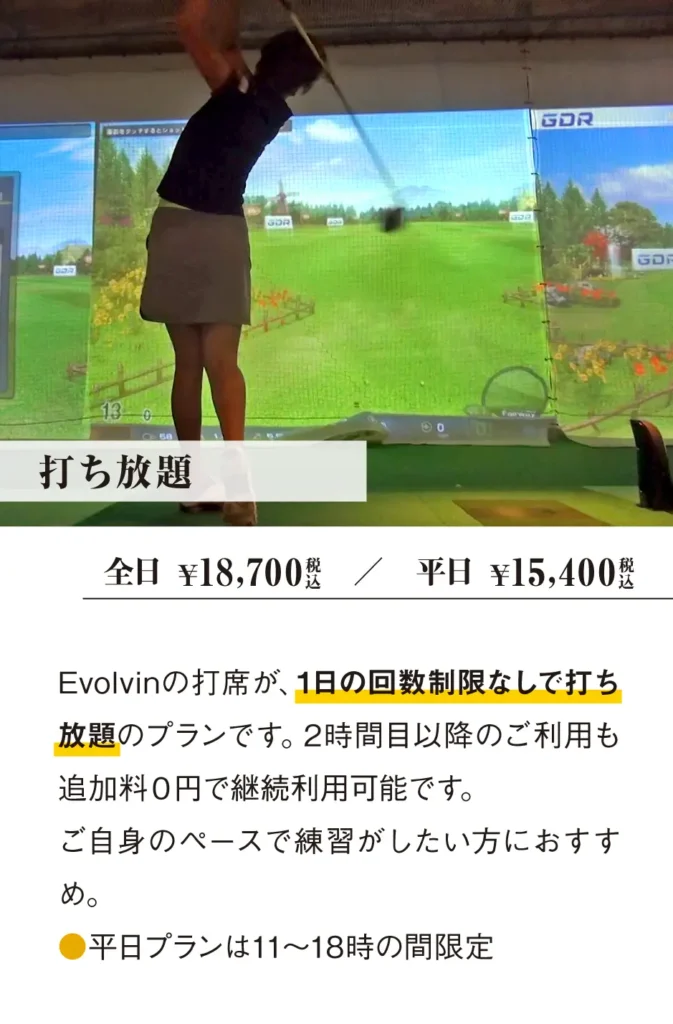 evolvin2502_plan_2